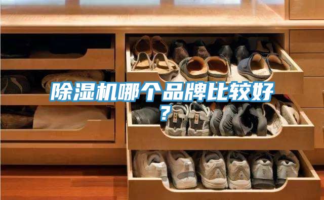 除濕機(jī)哪個(gè)品牌比較好？