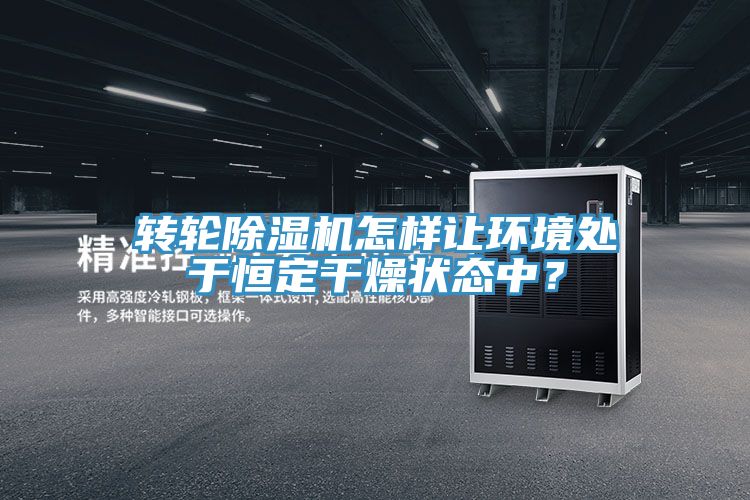 轉(zhuǎn)輪除濕機怎樣讓環(huán)境處于恒定干燥狀態(tài)中？