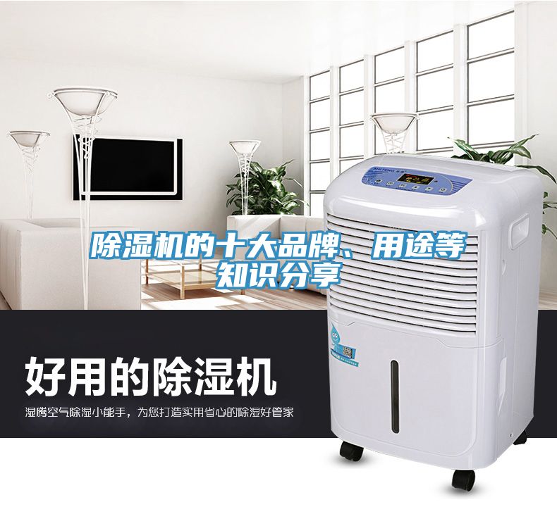 除濕機(jī)的十大品牌、用途等知識分享