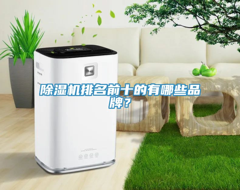 除濕機(jī)排名前十的有哪些品牌？