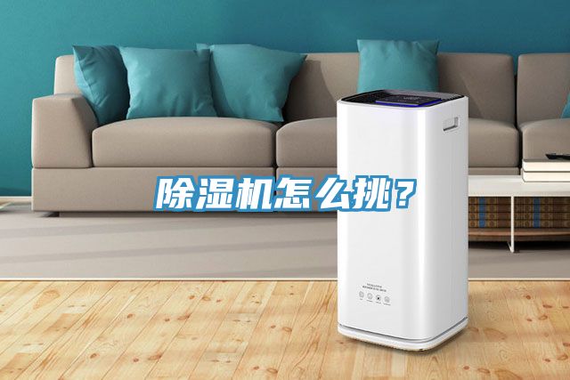 除濕機(jī)怎么挑？