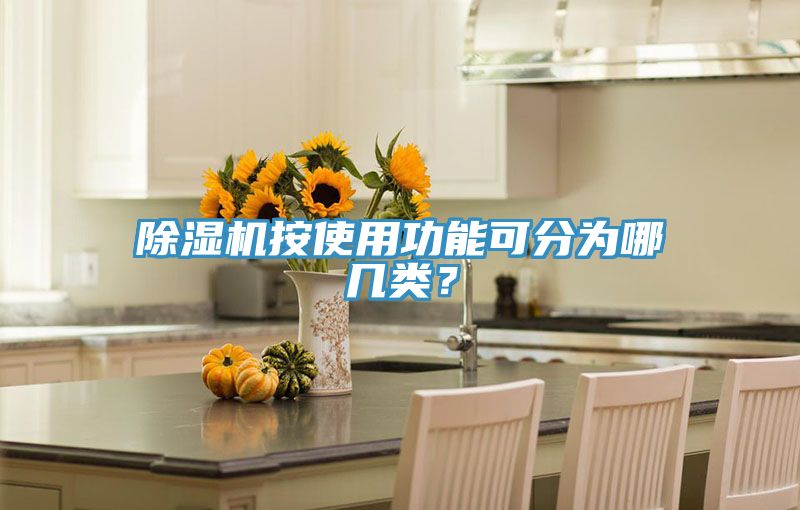 除濕機(jī)按使用功能可分為哪幾類？