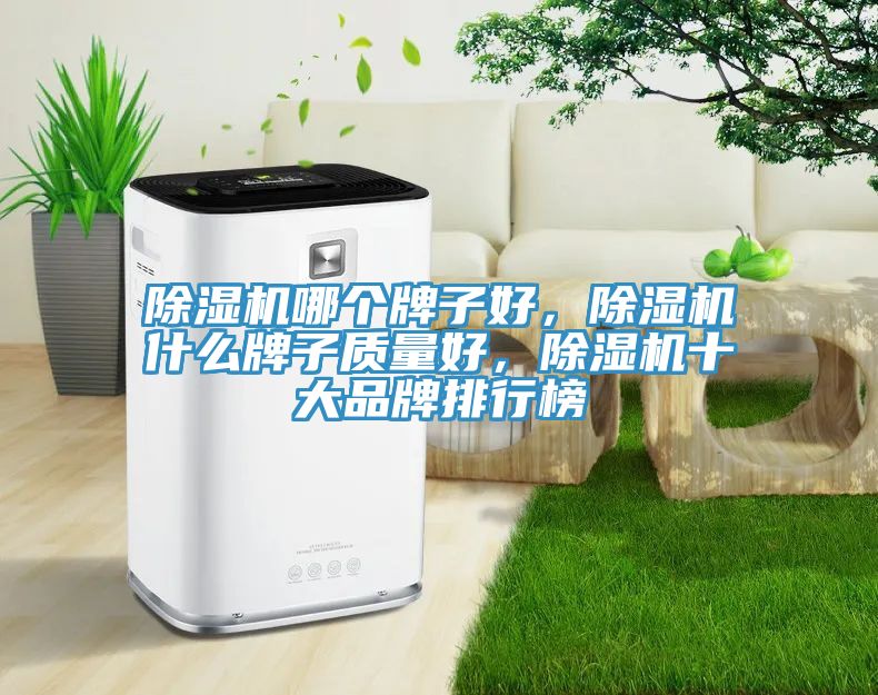 除濕機(jī)哪個(gè)牌子好，除濕機(jī)什么牌子質(zhì)量好，除濕機(jī)十大品牌排行榜