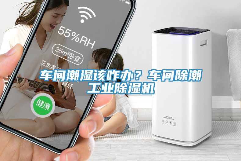 車間潮濕該咋辦？車間除潮工業(yè)除濕機(jī)