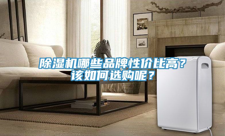 除濕機(jī)哪些品牌性?xún)r(jià)比高？該如何選購(gòu)呢？