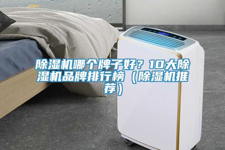 除濕機(jī)哪個(gè)牌子好？10大除濕機(jī)品牌排行榜（除濕機(jī)推薦）