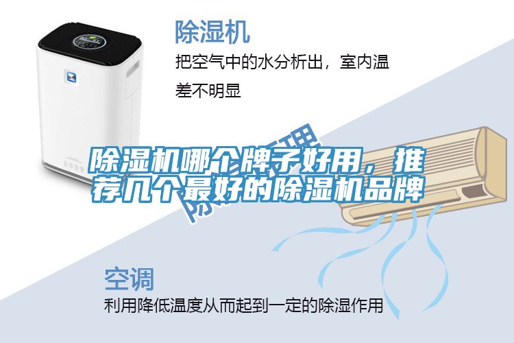 除濕機(jī)哪個(gè)牌子好用，推薦幾個(gè)最好的除濕機(jī)品牌