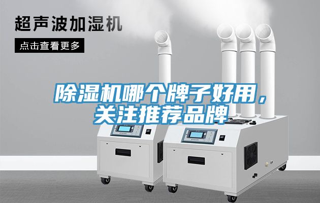 除濕機(jī)哪個(gè)牌子好用，關(guān)注推薦品牌