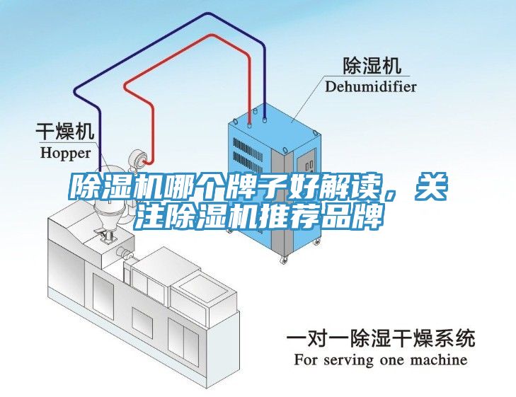 除濕機(jī)哪個(gè)牌子好解讀，關(guān)注除濕機(jī)推薦品牌