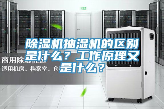 除濕機(jī)抽濕機(jī)的區(qū)別是什么？工作原理又是什么？