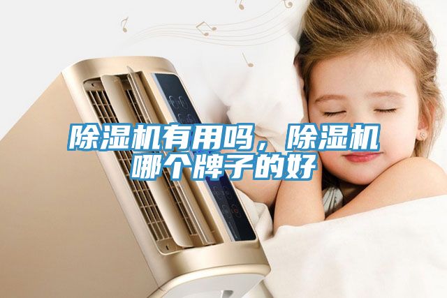 除濕機(jī)有用嗎，除濕機(jī)哪個牌子的好